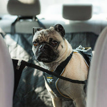 Lade das Bild in den Galerie-Viewer, MrFluffyFriend™ - Autositzbezug für Hunde
