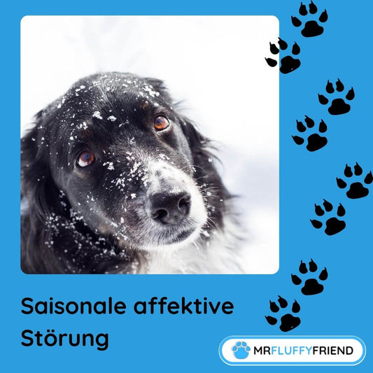 Können Haustiere den Winterblues bekommen?