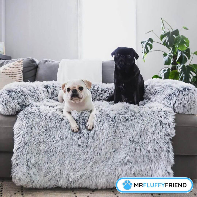 Der beste Sofastoff für Hunde: Ein umfassender Leitfaden