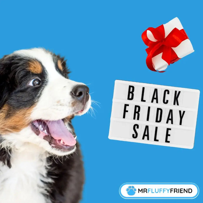 Black-Friday-Angebote für Haustiere: Unsere 3 Favoriten für deine Fluffy Friends