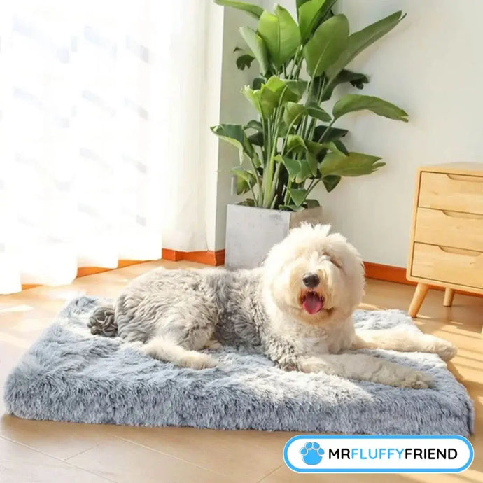 Was ist das beste Hundebett für alte Hunde? Absolut top Support!