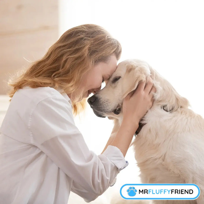 Ein besserer Hundehalter sein: Dein Guide für verantwortungsvolle Tierhaltung