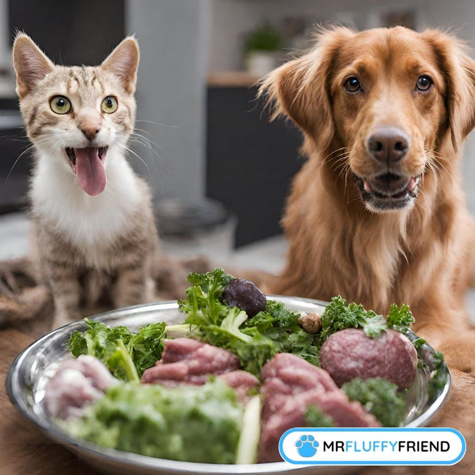 BARF 101: Biologisch Angemessene Rohfutter