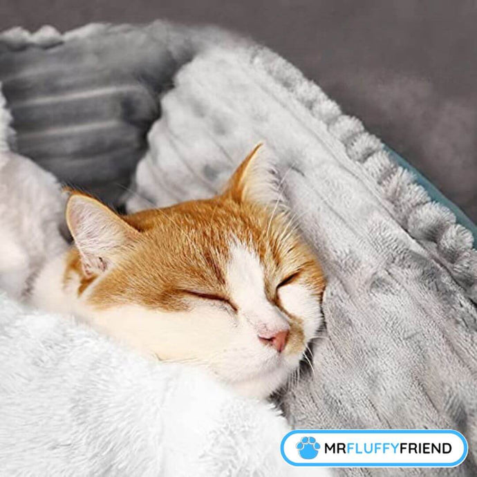 Was sind die besten Decken für Katzen?
