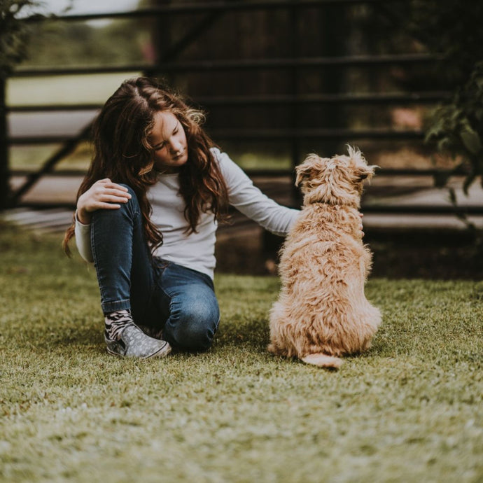 Mein Hund hat Angst – Was nun? Der ultimative Ratgeber