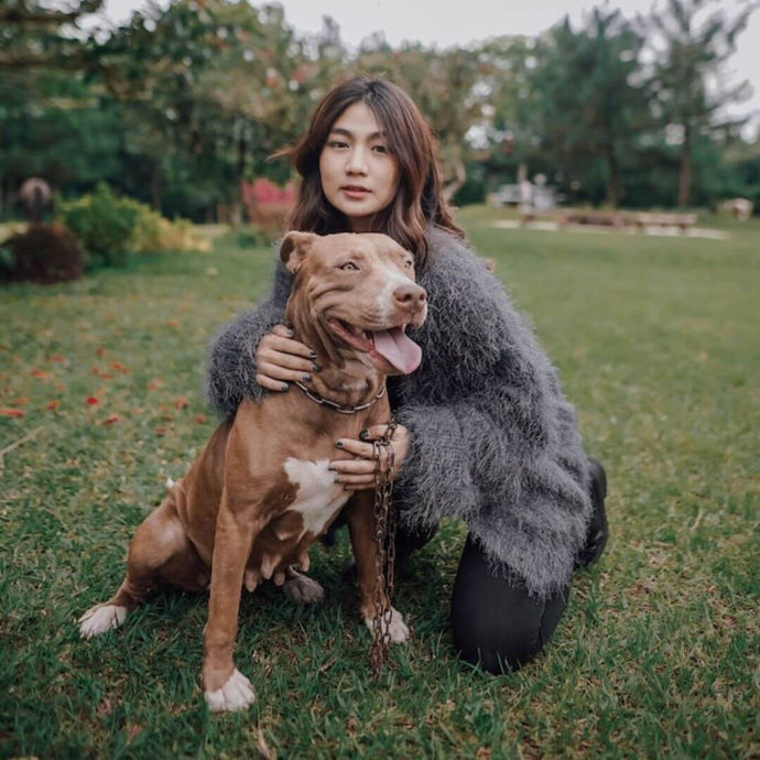 Die besten Hunderassen für dein Sternzeichen