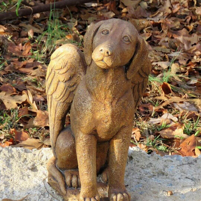 Wie man den Verlust eines Haustieres verkraftet