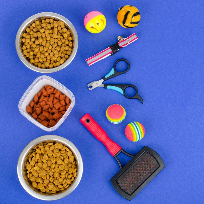 5 Gründe, praktische Hundeartikel zu kaufen