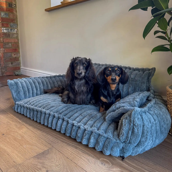 8 Gründe, warum Hundebesitzer weltweit auf dieses Hundesofa schwören