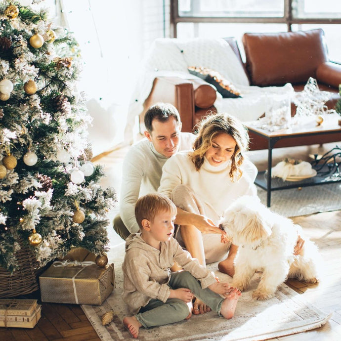 Tierische Weihnachtsgefahren: Unsere Tipps