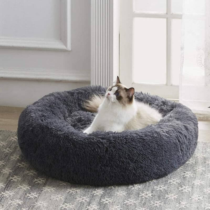 Flauschige weiße Katze, die sich bequem in einem weichen, dunkelgrauen, runden Haustierbett bei einem hellen Fenster lümmelt