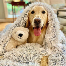 Lade das Bild in den Galerie-Viewer, Ein Golden Retriever kuschelt sich gemütlich mit einem Teddy und einer flauschigen Decke ein.
