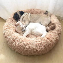 Lade das Bild in den Galerie-Viewer, Mops und fluffige Katze kuscheln friedlich im beigen Anti-Stress-Katzenbett
