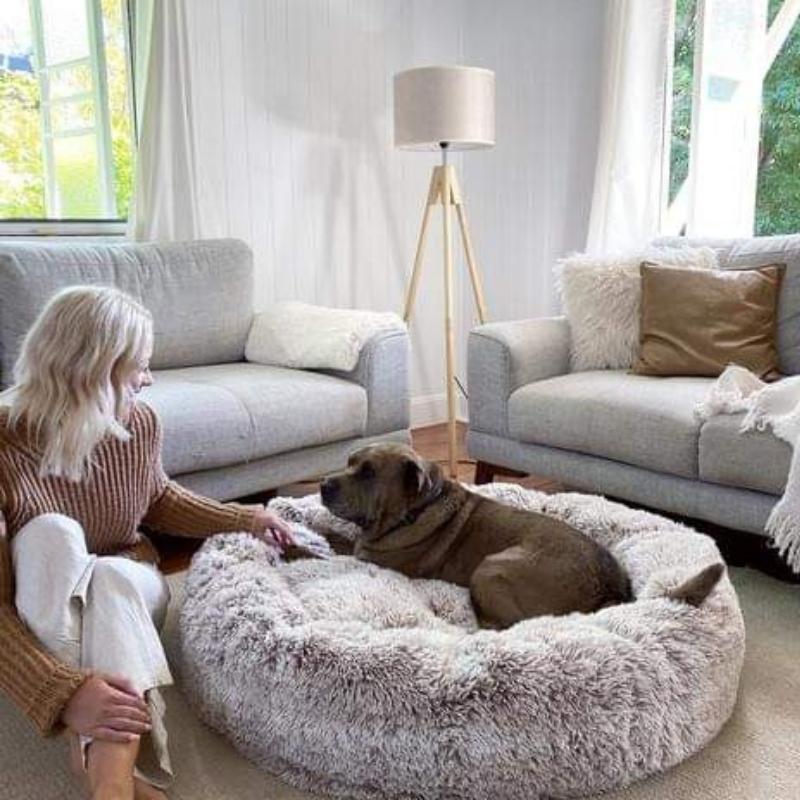 Hund entspannt auf einem flauschigen, hellgrauen Hundebett.