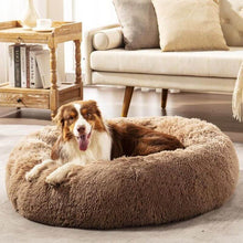 Lade das Bild in den Galerie-Viewer, Hund chillt auf einem flauschigen braunen Bett
