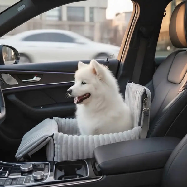 Mach jede Autofahrt sicher und gemütlich für deinen Hund